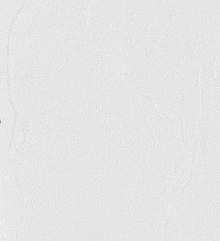 Серые обои для стен Bernardo Bartalucci Gaga  84284-15