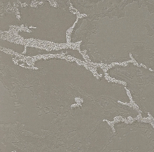 Серо-бежевые обои Bernardo Bartalucci Gaga  84282-8